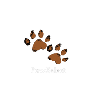 PawSelect